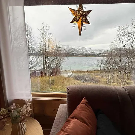 Aurora View *