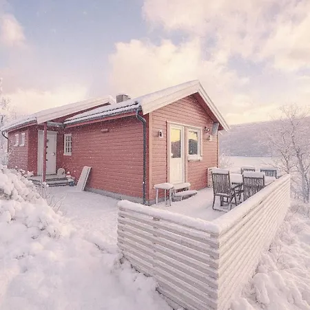 Aurora View